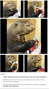 KanoKariotter