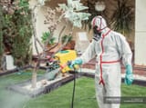 focused_296969954-stock-photo-fumigator-white-uniform-spraying-substance-89170310