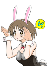 SakiBunni