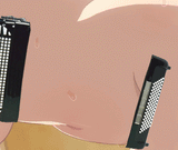 accordion (real)