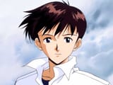 Shinjiprofil