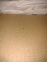 IMG_20250709_131550547