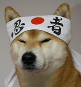1495752159430