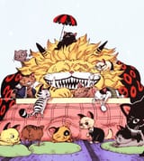 13 cats