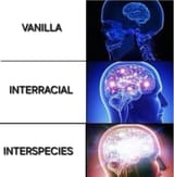 1752044087496