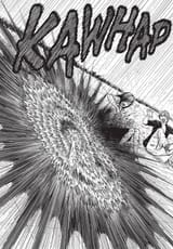 smashed-403