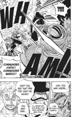 onepiecechapters_574_13