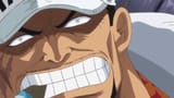 akainu