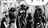 Rocks_Pirates_Members