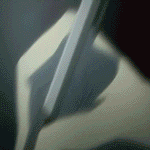 Death Note &amp; DBZ