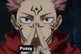 pussy expansion