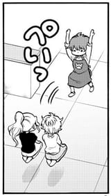 flip