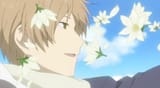 natsume flowers