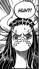 cute dumb pachy