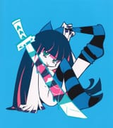 Stocking