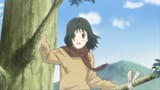 2009 natsume