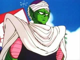 Piccolo