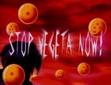 stop vegeta