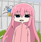 bocc