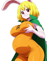 Carrot sloppa 2_cleanup
