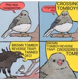 Based reverse trap brown tomboy lover raven