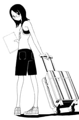 fuji suitcase
