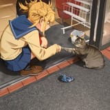 Toga cat