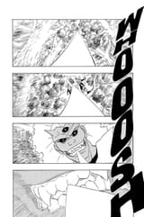 0197-006