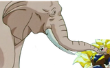 Elephant-sama chokehold