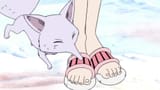 Conisfeet