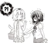 Fuyu(73)