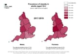 OBESITY-1024x724