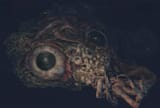 brain of mensis