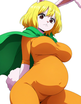 Carrot sloppa 3