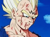 Majin bejita