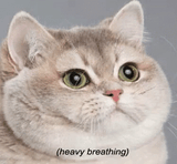 Heavy Breathing
