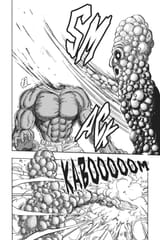 toriko_366_18