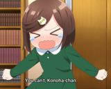 Small Konoha