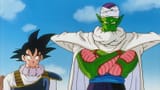 Goku and Piccolo in Mystery Revealed