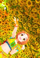ひまわりマークをさがせ