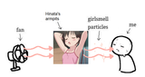 fef science