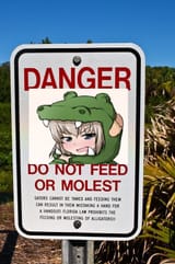 Do not feed or molest