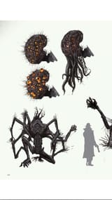 Amygdala 2