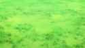 1086 - New Bounties 07 Robin D. Archaeologist [sound=https%3A%2F%2Ffiles.catbox.moe%2Fu0read.webm]_thumb.jpg
