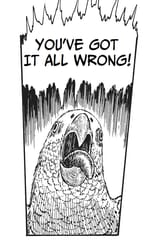 all wrong parrot