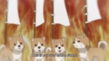 [HorribleSubs] Oda Cinnamon Nobunaga - 12 [720p].mkv_snapshot_17.03_[2020.03.28_08.33.25]