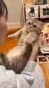 The_Pets_X_-_One_kiss_is_enough..-[00.00.000-00.05.317]_thumb.jpg
