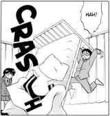 bed-flipping