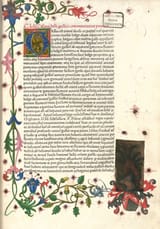 Caesar_bsb_beck