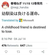 1733889306312018